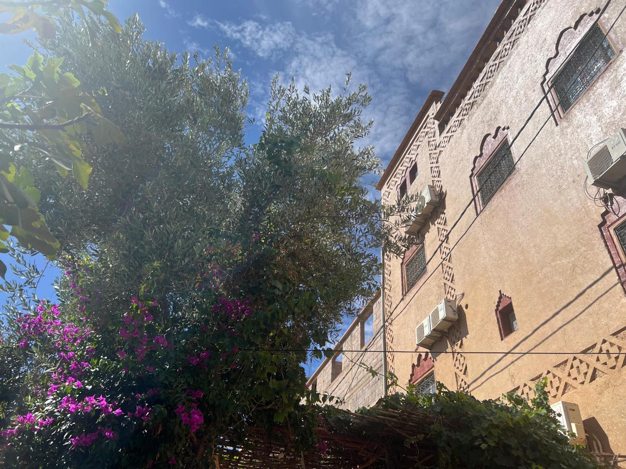 Dar Calme Chez El Bouhali Otel Skoura Dış mekan fotoğraf